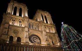 Choinka przy katedrze Notre Dame